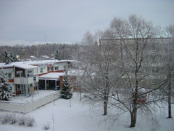 Palvelut